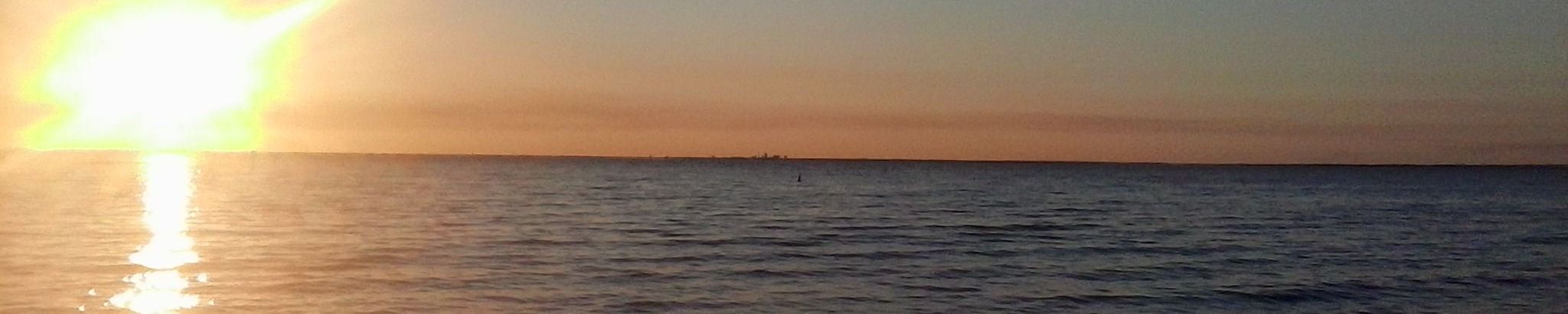 Cover for Patricia Louise Vaughn's Obituary