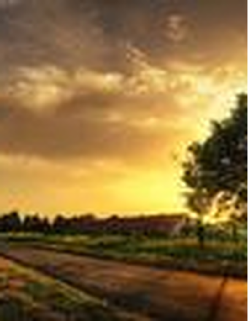 Myles Eric Easterwood