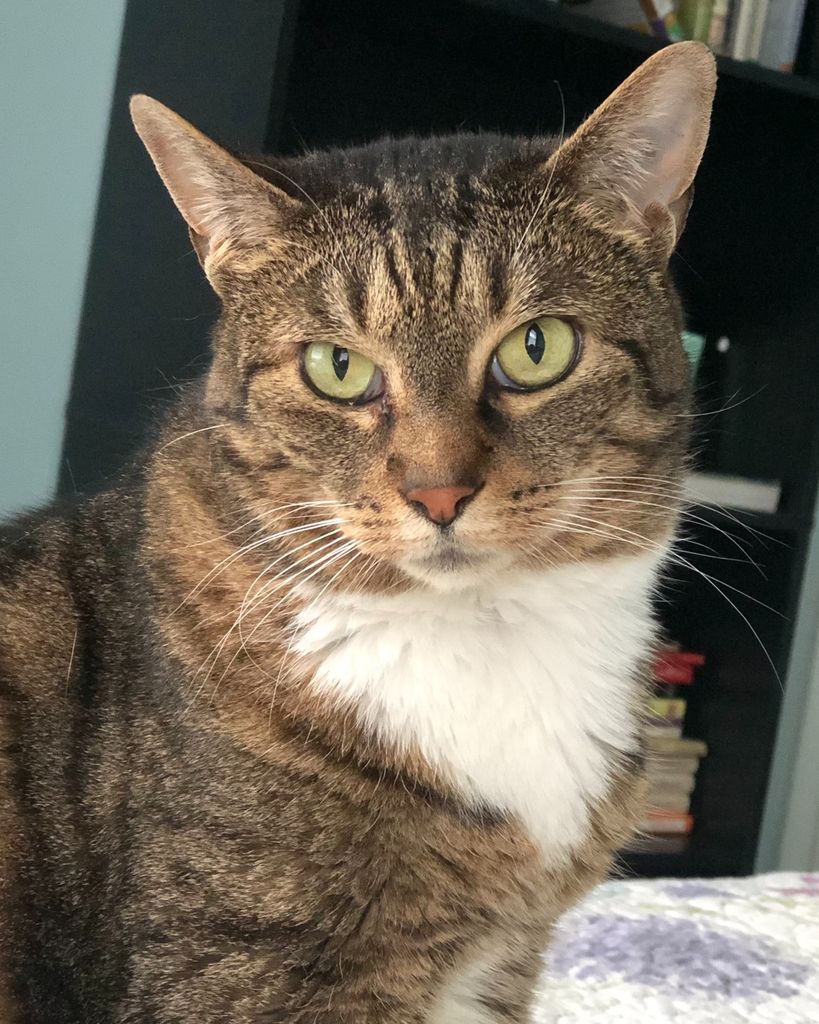 Queen Jazzy Jasmine Profile Photo