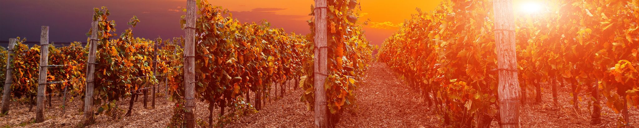 Cover for Goldie Lynell Horne's Obituary