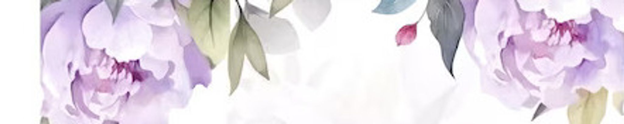 Cover photo for Elizabeth Boman's Obituary