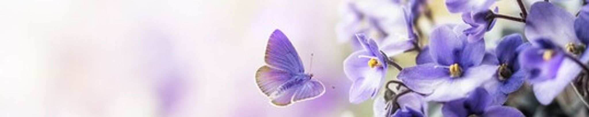 Cover photo for Inez K. Tomlinson's Obituary