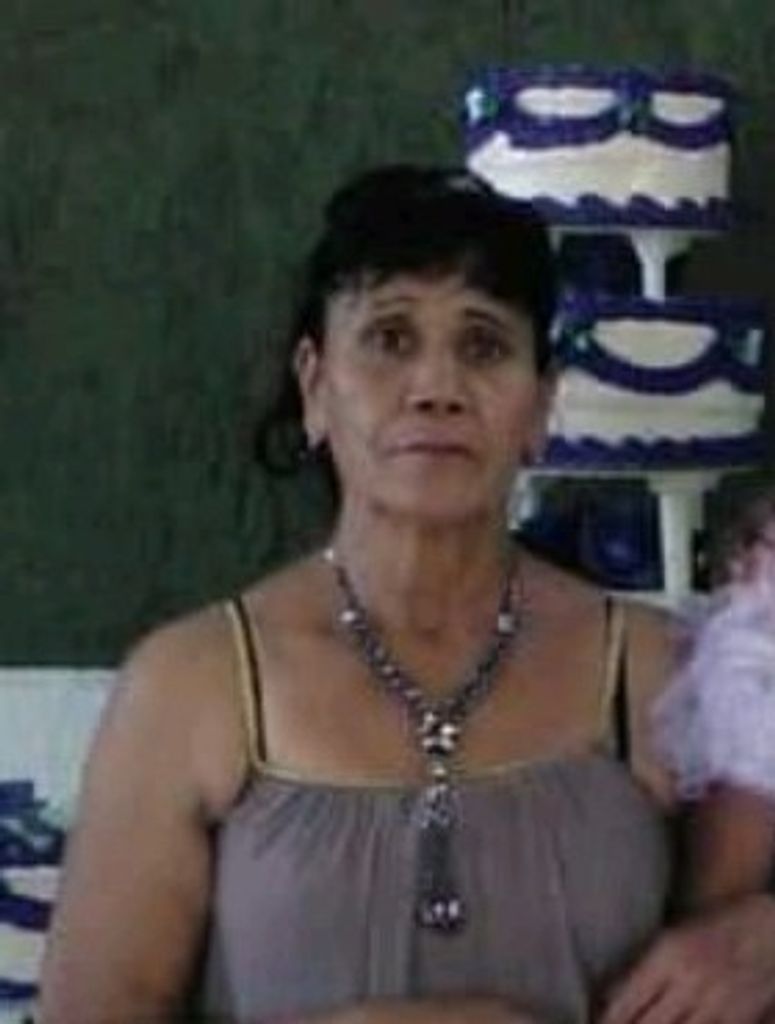 Ofelia Mata Garcia