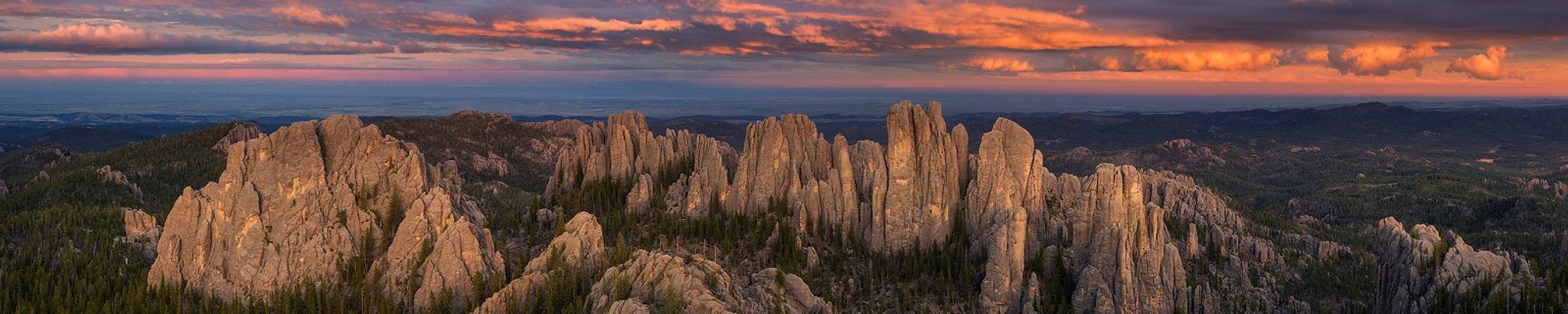 Cover for Frank Siebrecht's Obituary