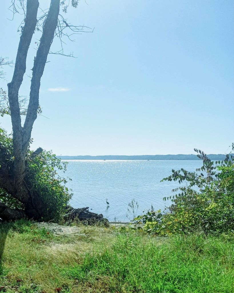 Anthony (Tony) Lewis Bruner Profile Photo