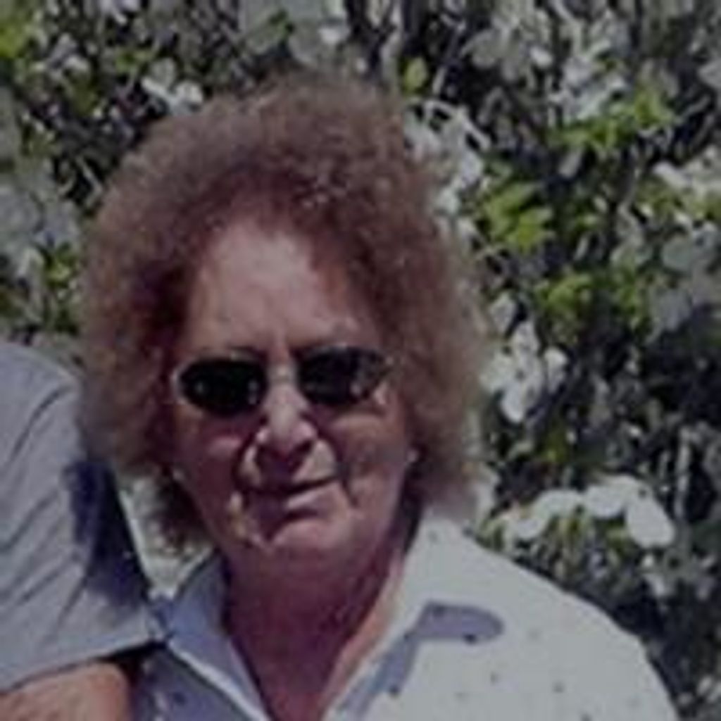 Patricia J Armold
