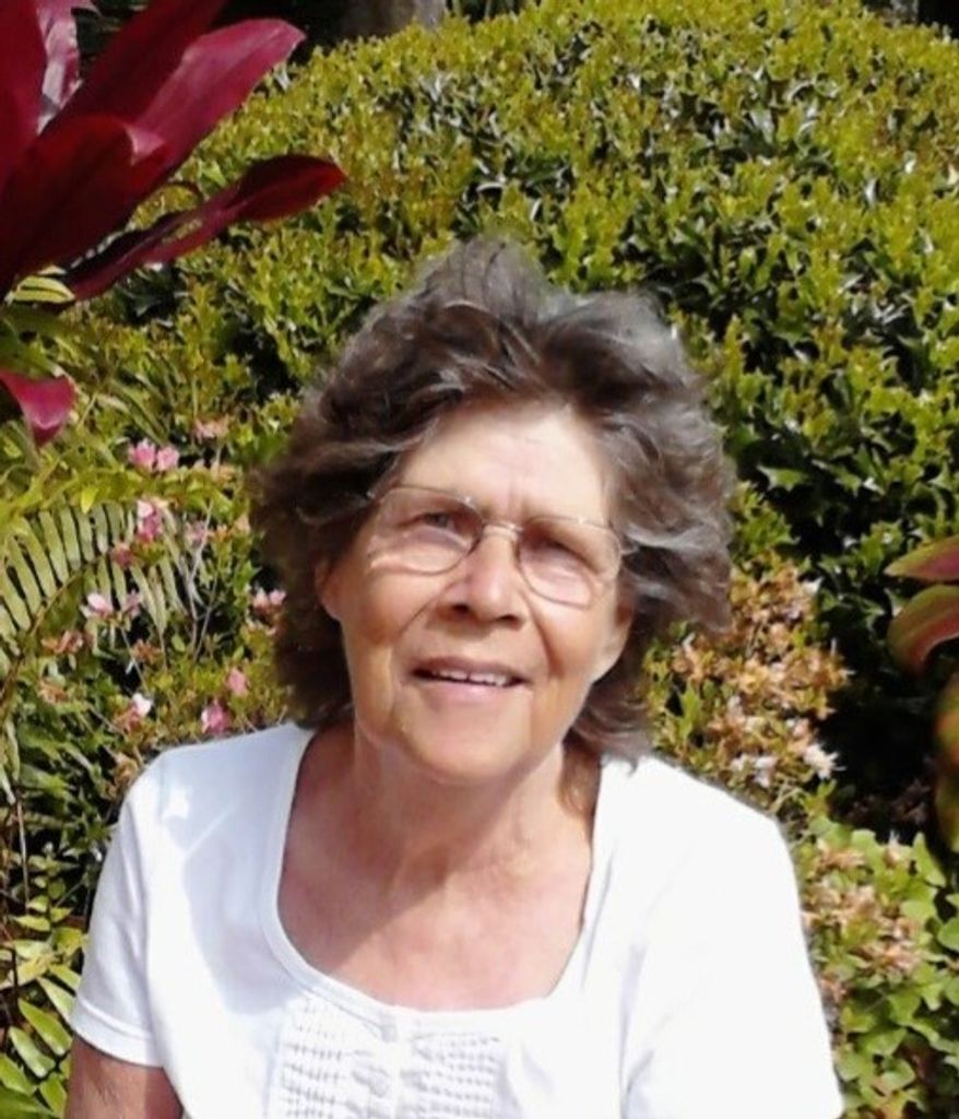 Marilyn Joyce (Lachman)  Stroup Profile Photo