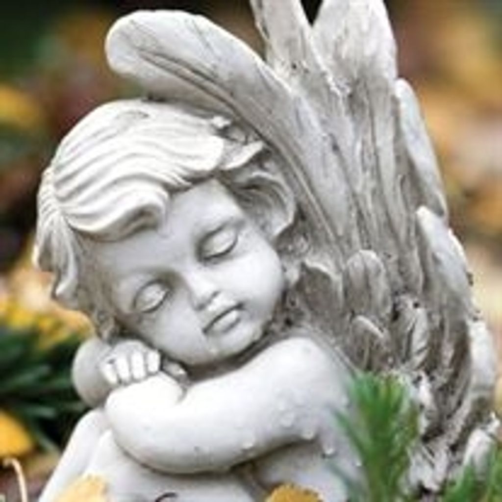 Veronica Anne Levato Profile Photo