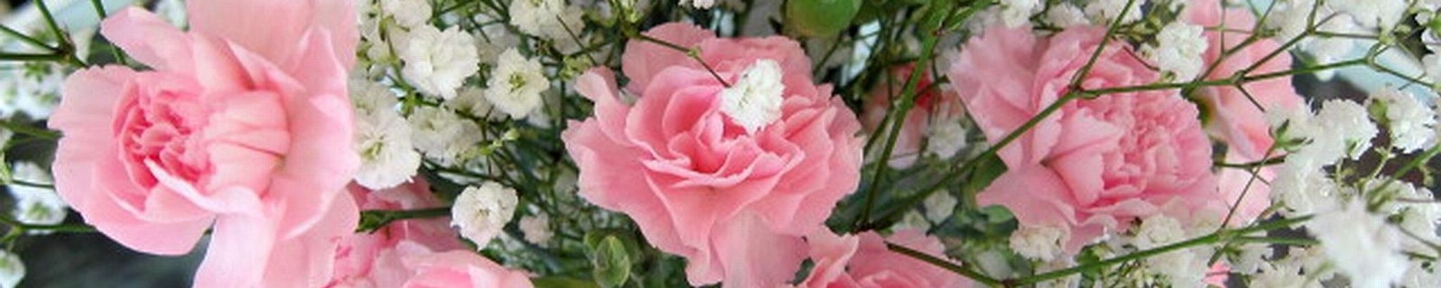 Cover photo for Linda L. Handlon's Obituary