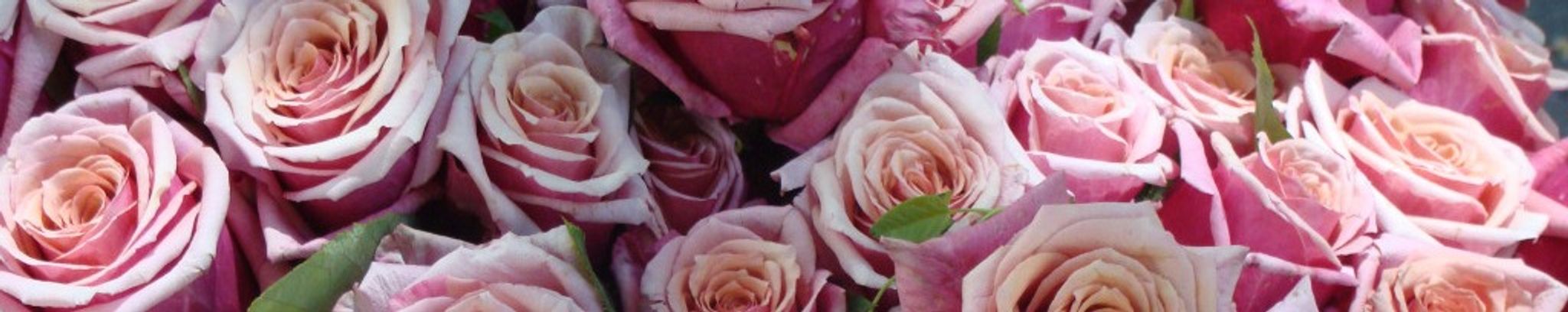 Cover photo for Inez Loera's Obituary
