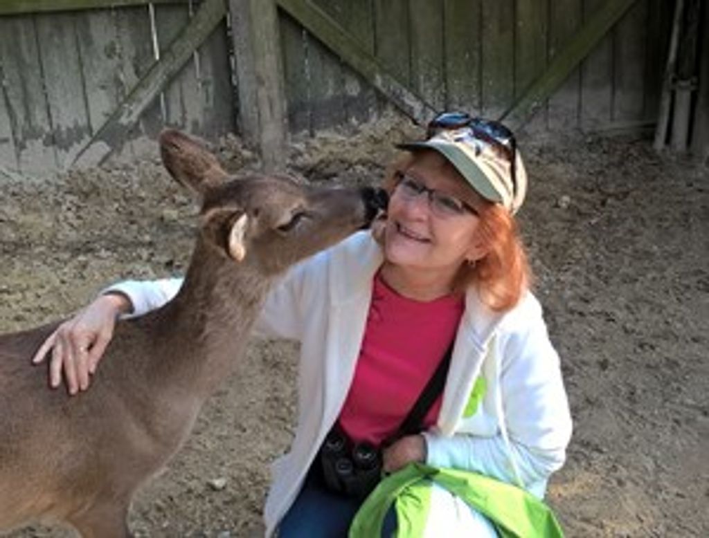 Annette L. Arnold