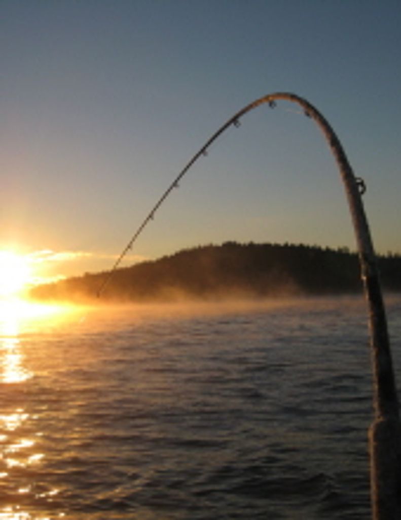 Ferlin Wayne Roberts