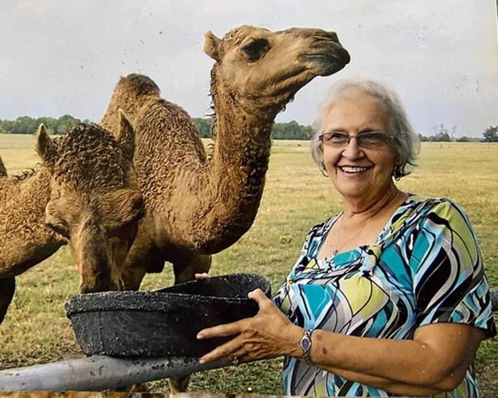 Sandra Kay Camp Profile Photo