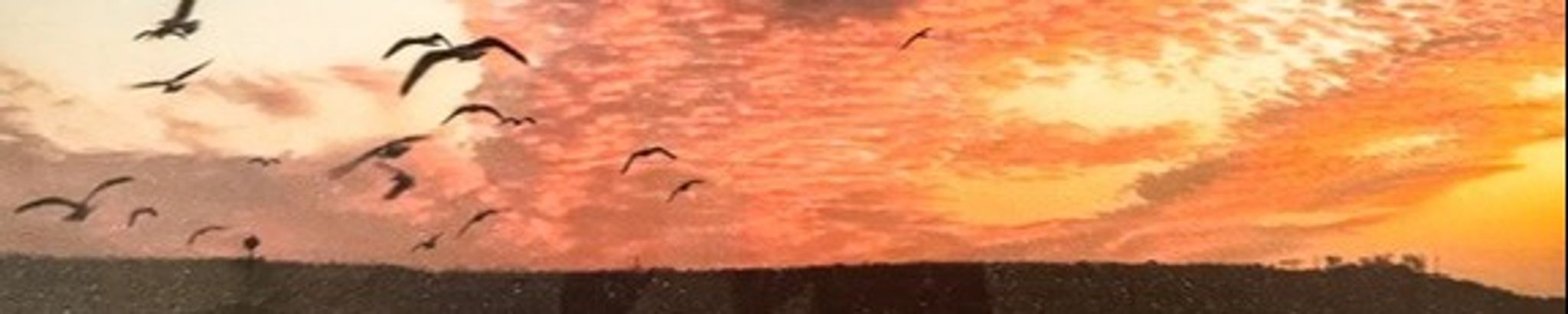 Cover for Anthony James "Jim" Strappel's Obituary