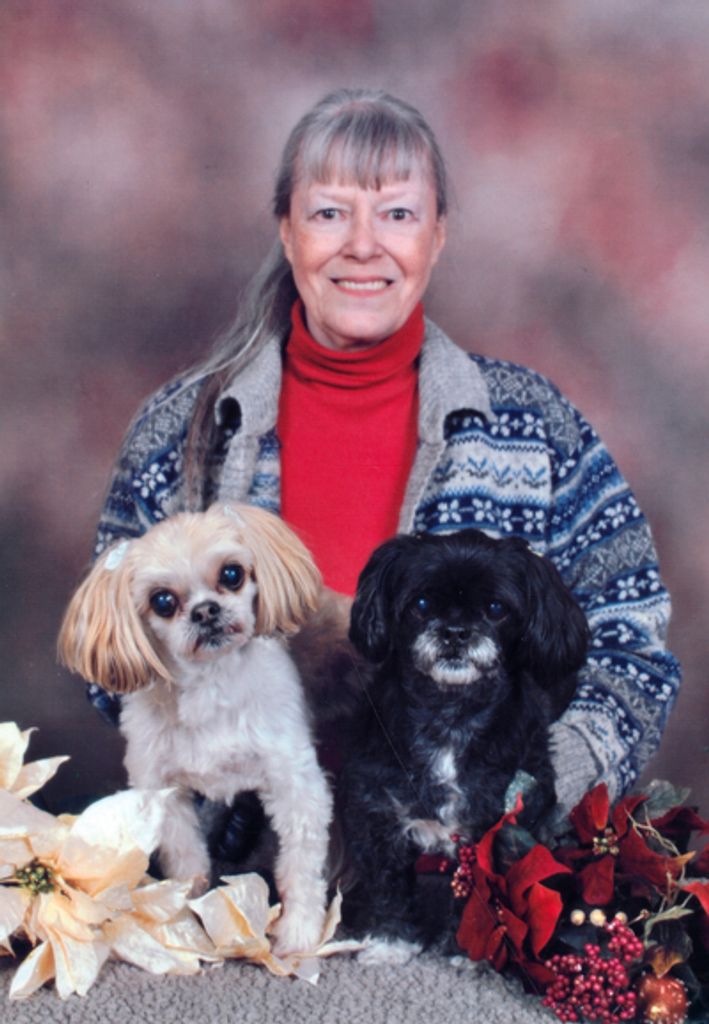 Jo-Anne Shaver Profile Photo