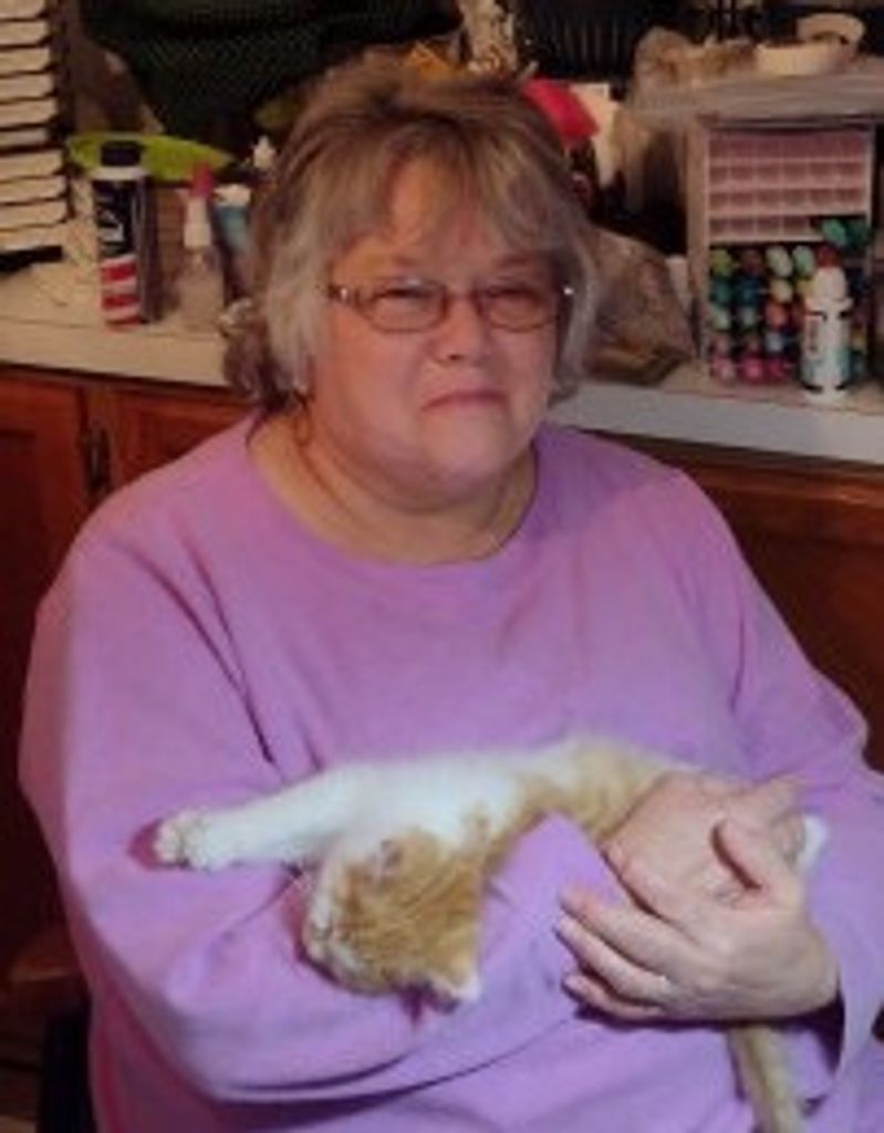 Jayne A. Kole Profile Photo