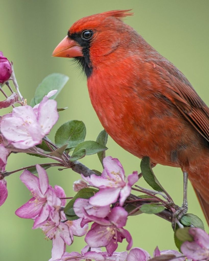 Judith E. Olmstead Profile Photo