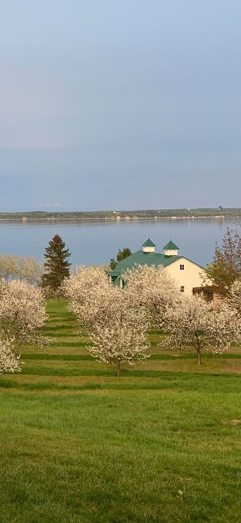 Mildred "Millie" Shea