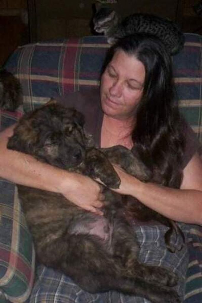 Teri Jean Hutchins Profile Photo