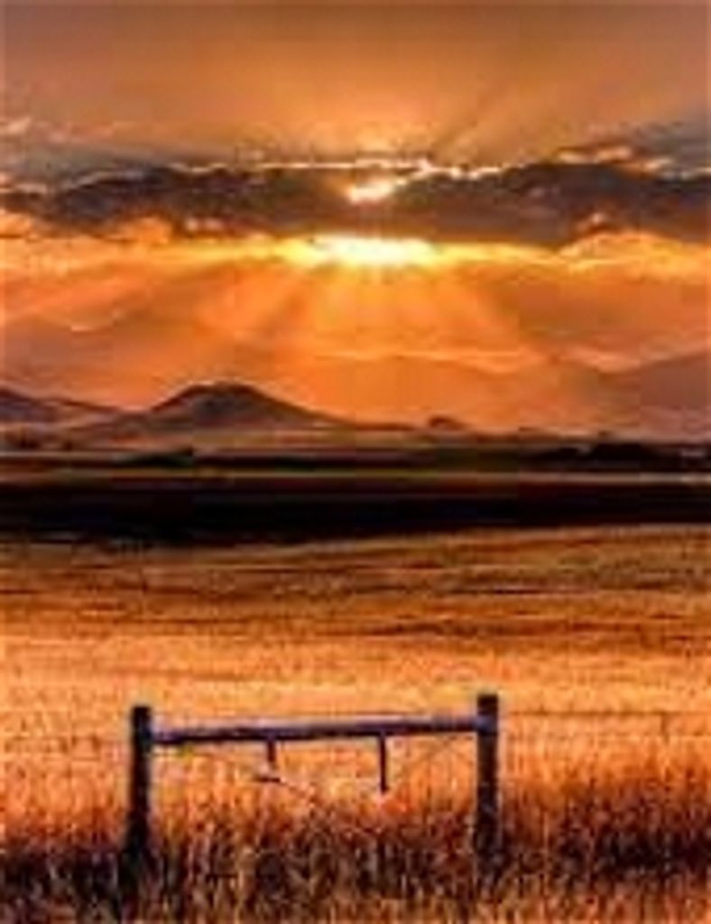 Joel Howard  Callahan, Iii