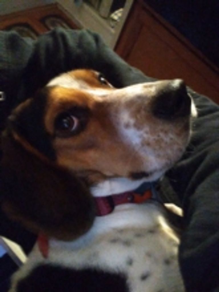 Lady Bella Profile Photo