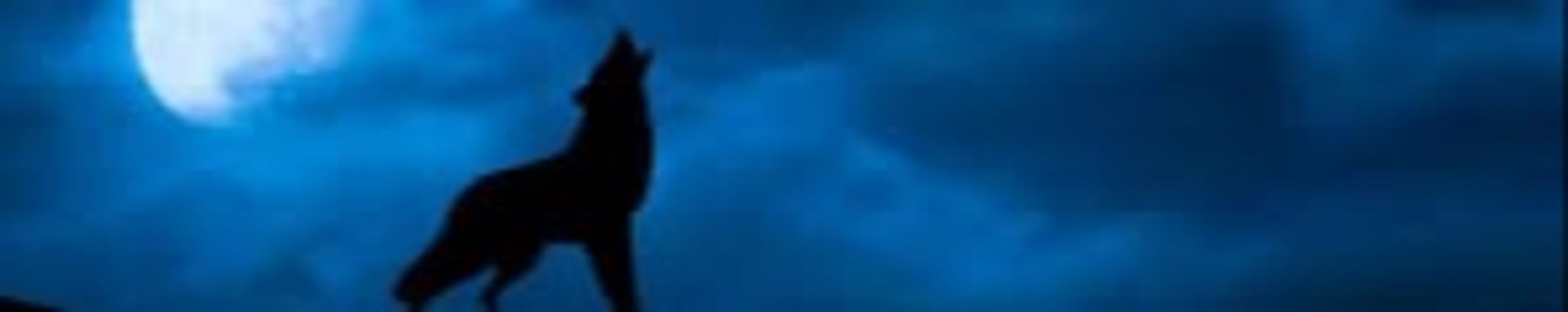 Cover photo for Christopher Thomas Voase's Obituary