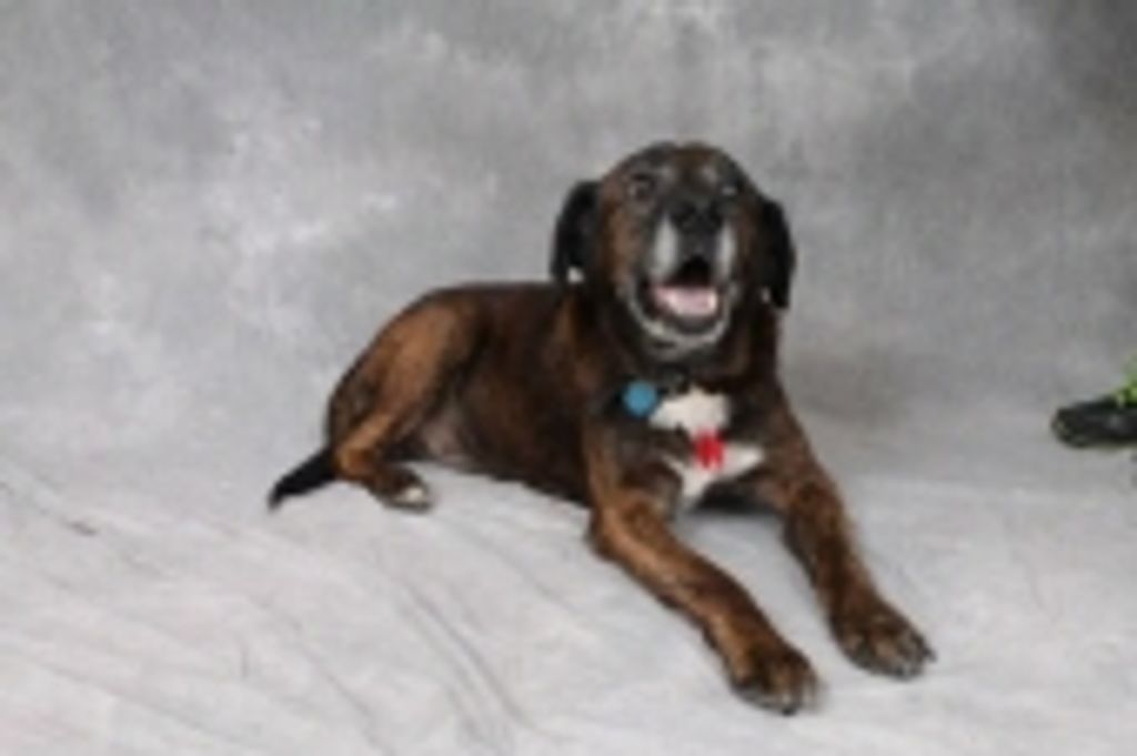 Dozer Matheny Profile Photo