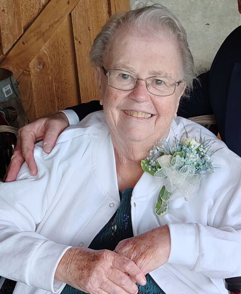 Anna Mae Virginia (Hannen)  Seibel