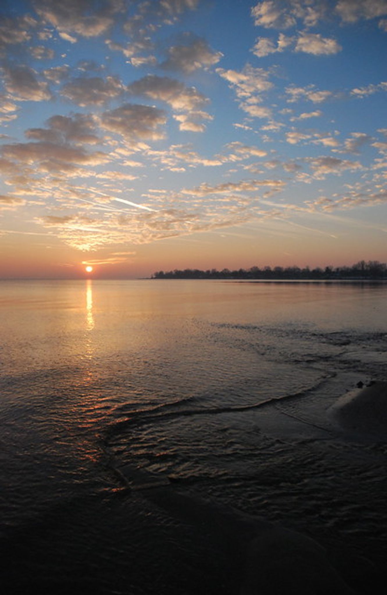 Cover photo for Connie Cassaro's Obituary