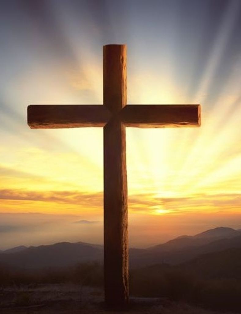 Philip Daniel Stehle Profile Photo