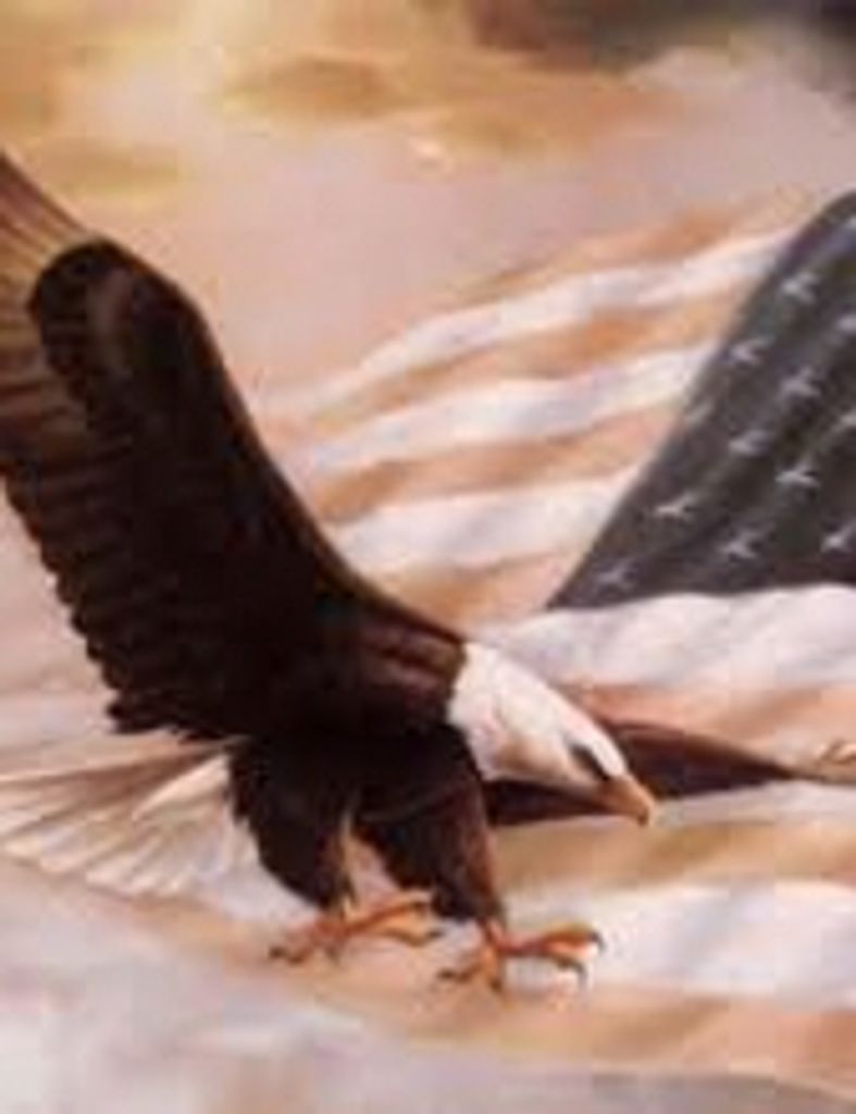 Henry  W. Geesner  Jr.