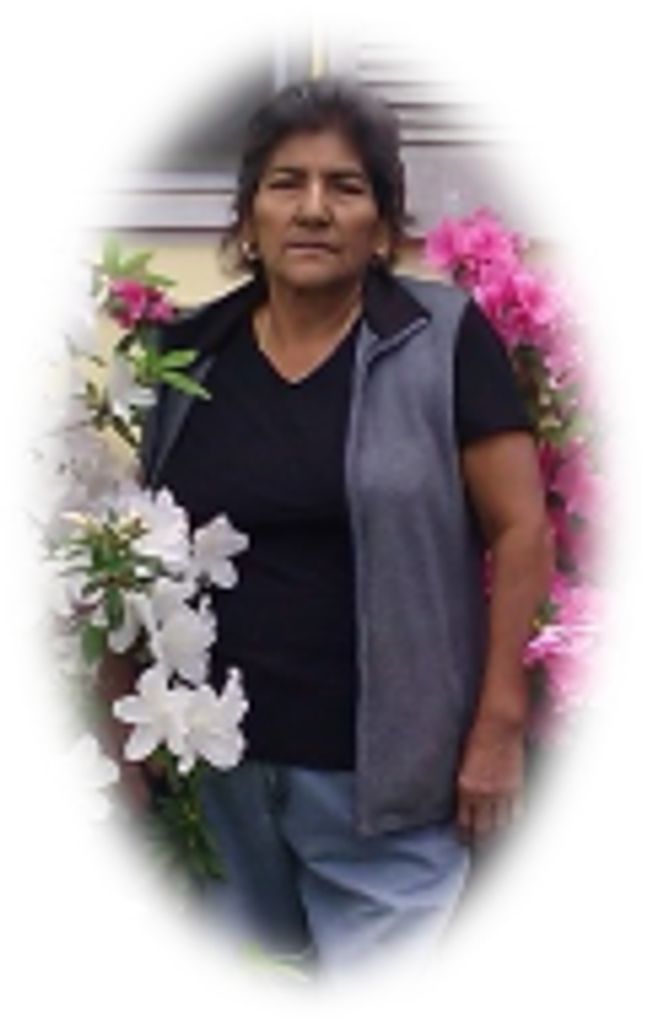 Petra Rojas Vazquez Profile Photo