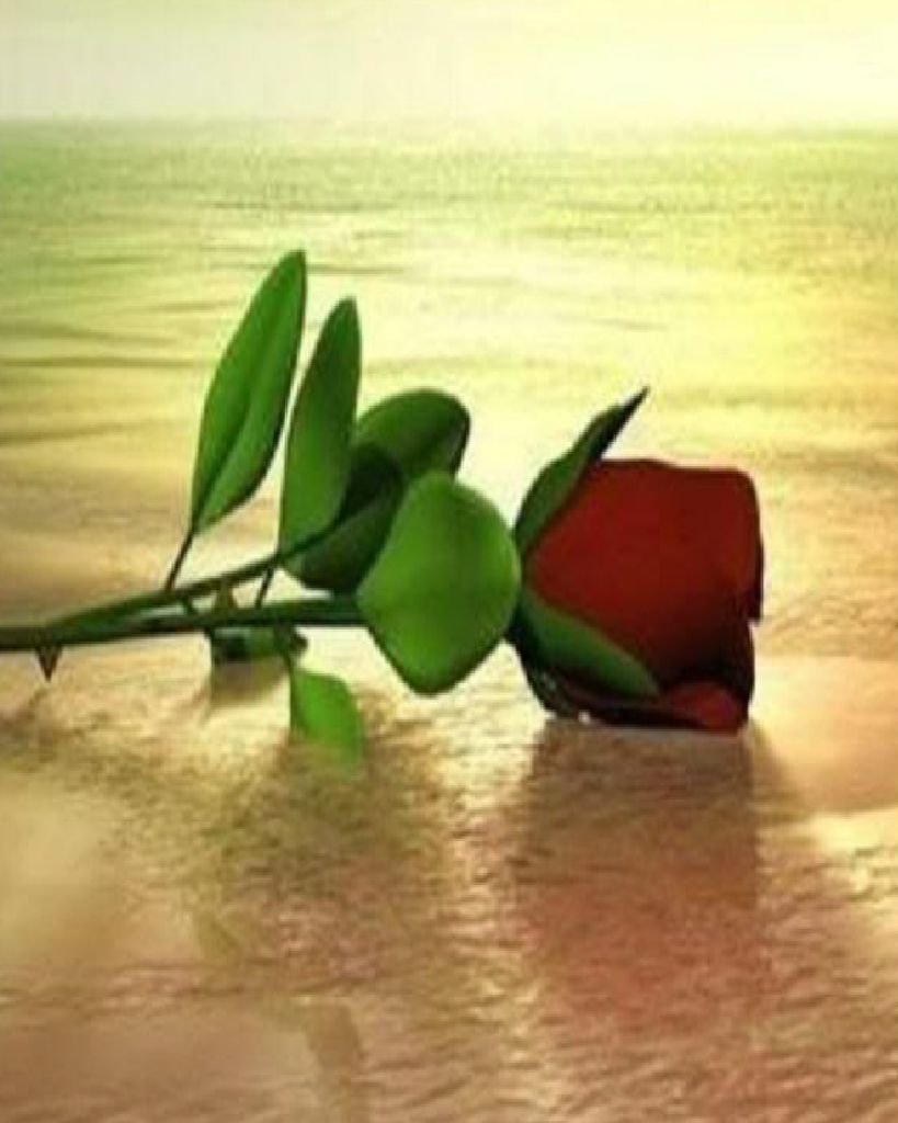 Eleanor A. Mathews Profile Photo