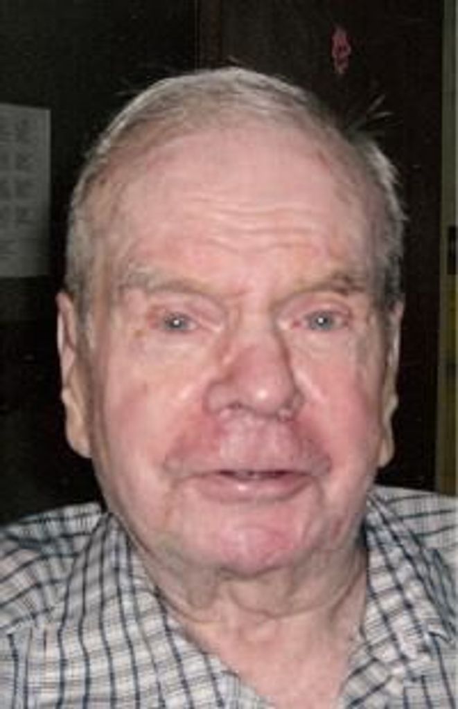 Lewis Wesley Palmer