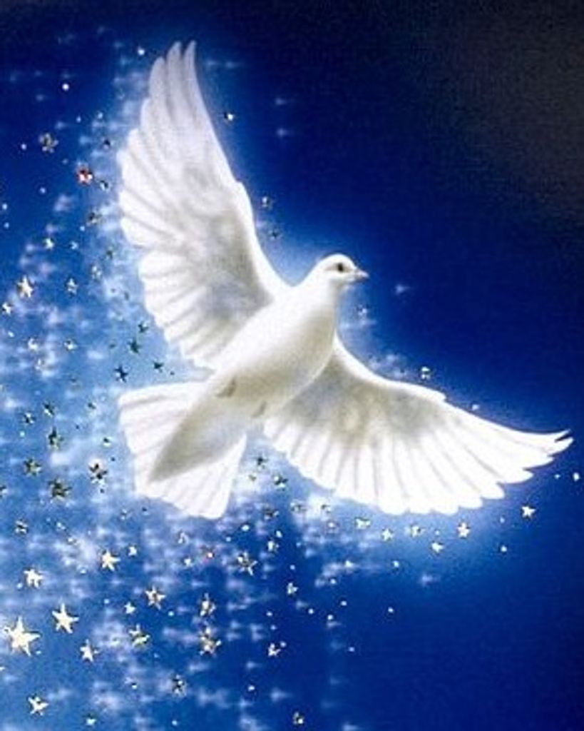 Lisandro Guerra, Jr. Profile Photo