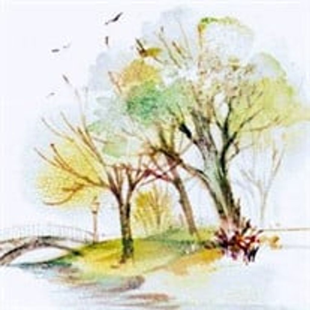 Steve Grabosky
