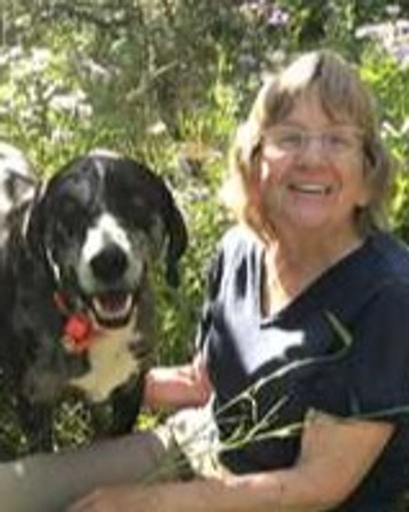 Laura Deborah Merrill Profile Photo