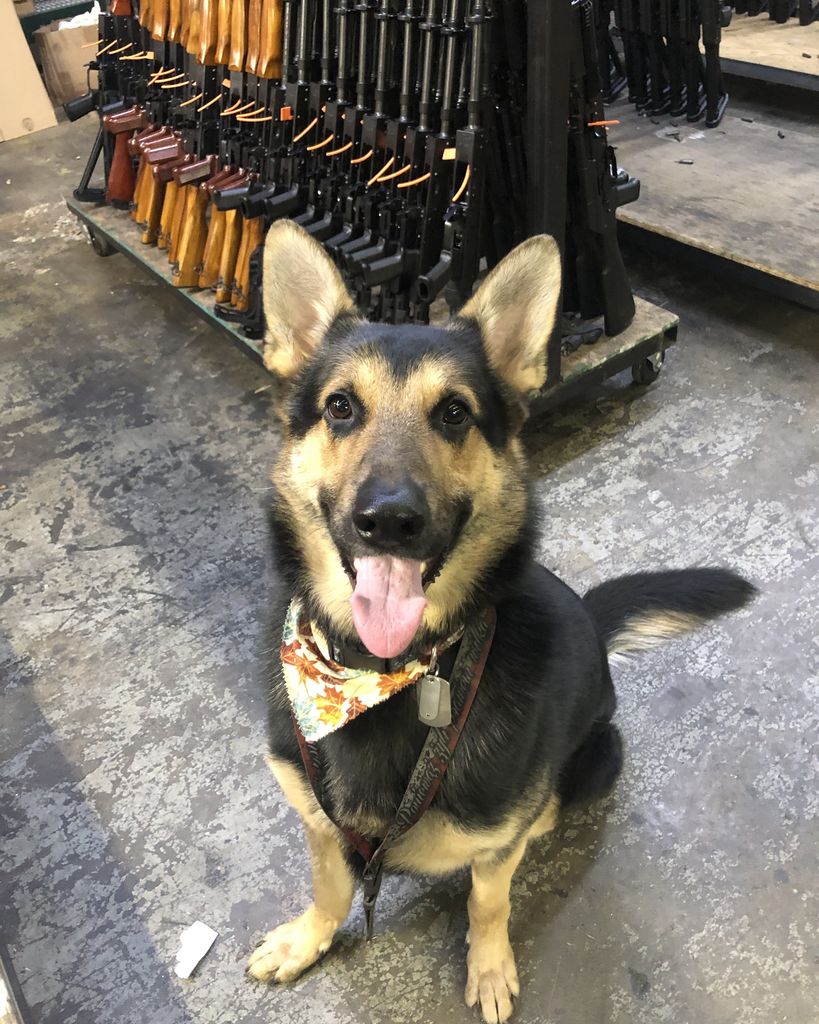 Samson McMahan Profile Photo