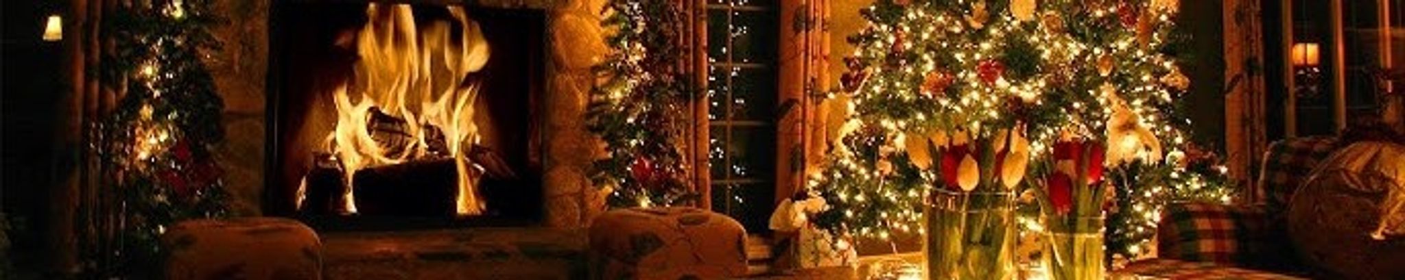 Cover for Denise Biehl's Obituary