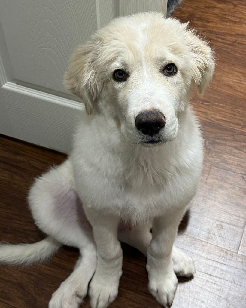 Draco Martinez Profile Photo