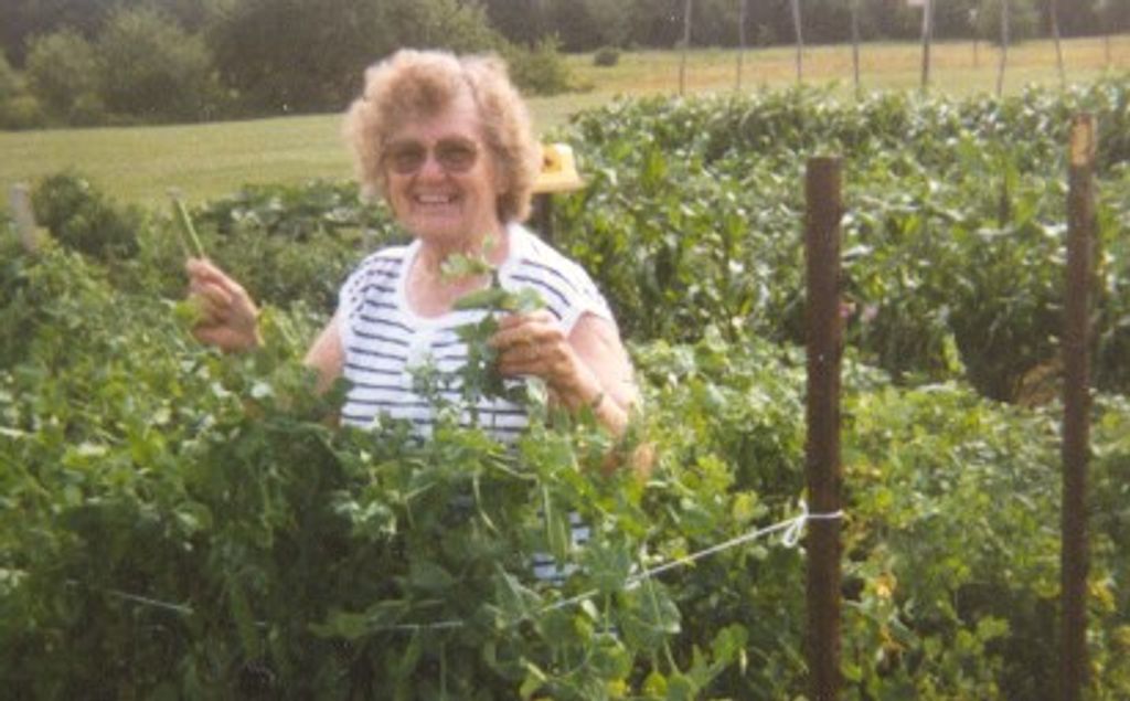 Phyllis Boynton Profile Photo