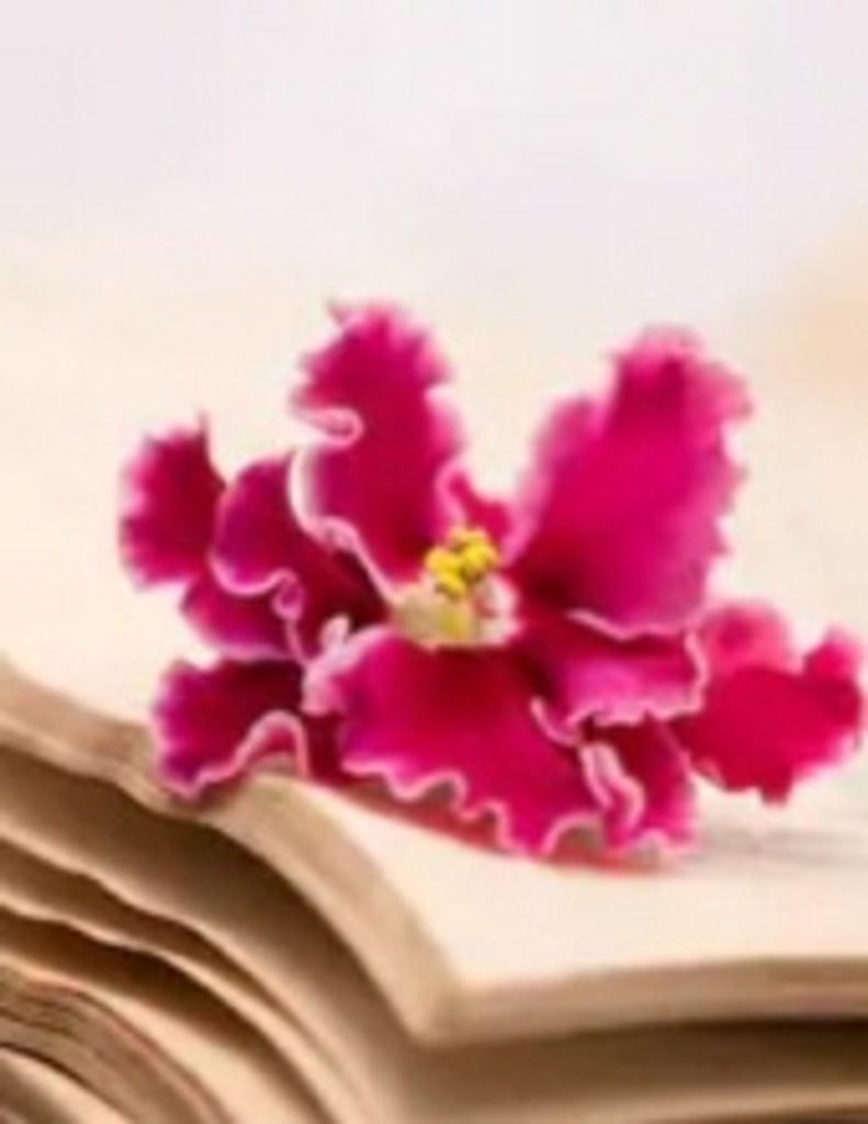 Ardith Nancy 'Nan' Williams