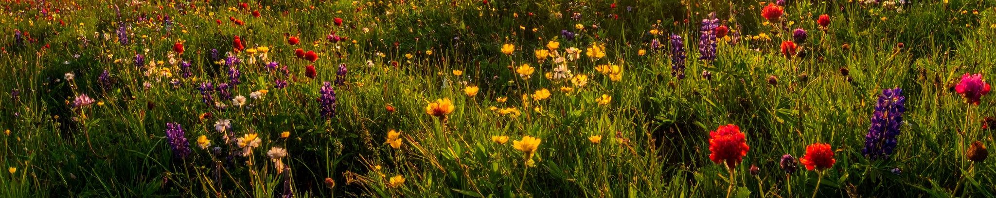 Cover for Betty Lou Baker's Obituary