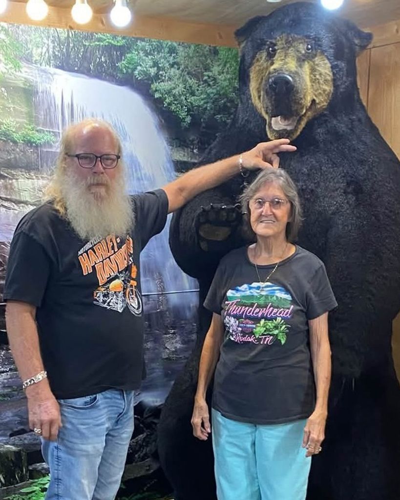 Linda Lewis Profile Photo