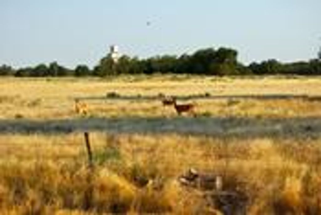 Edward Carl Elliott Profile Photo