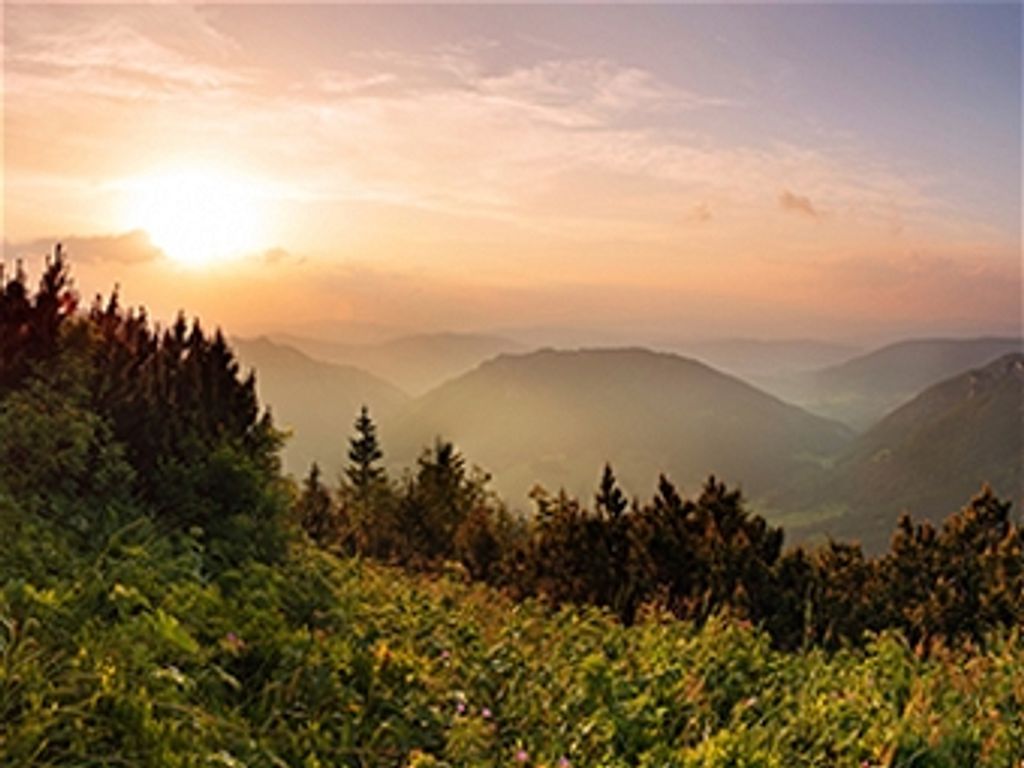 Larry Ray Richardson