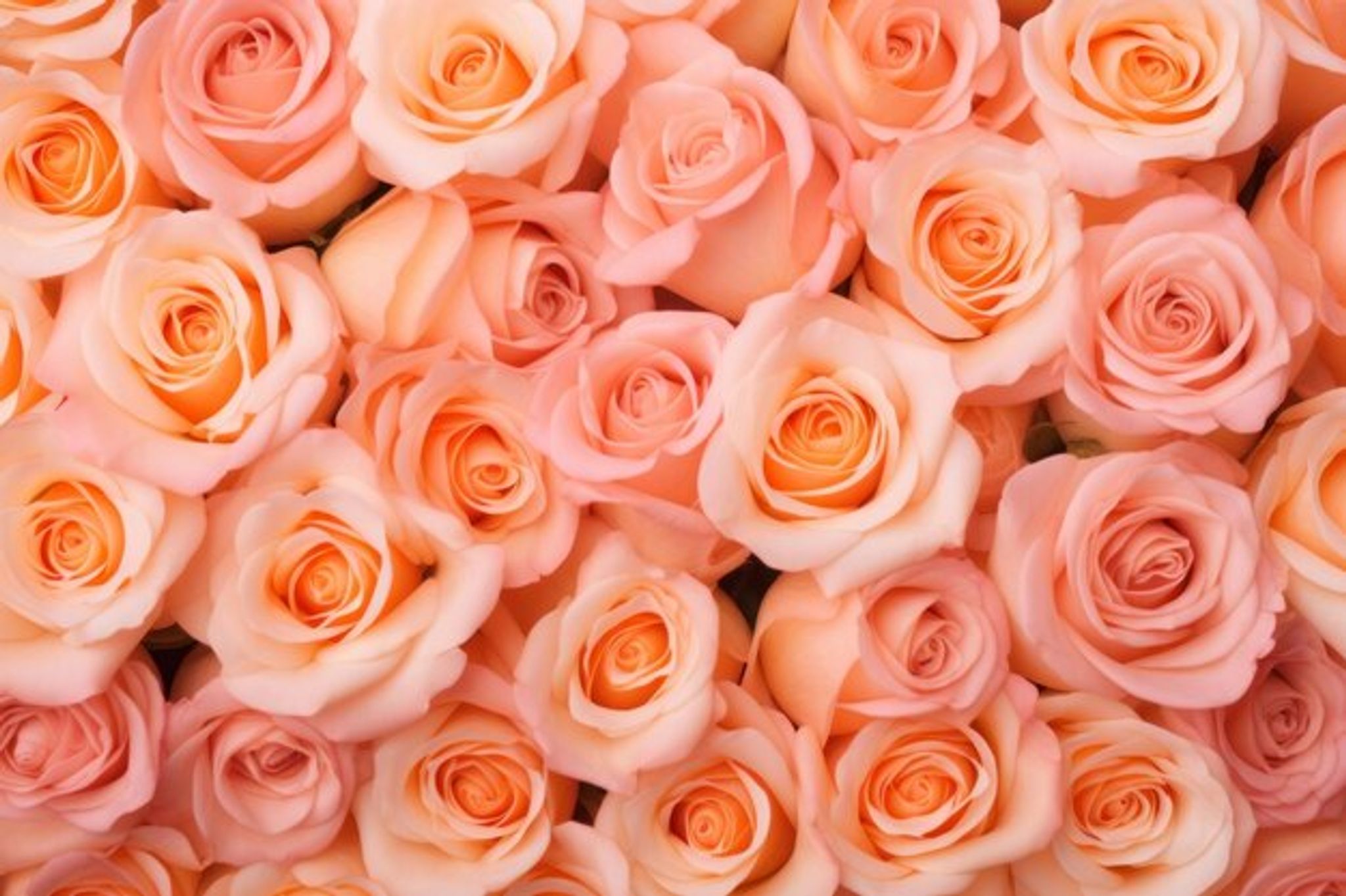Cover for Vicki Hart's Obituary