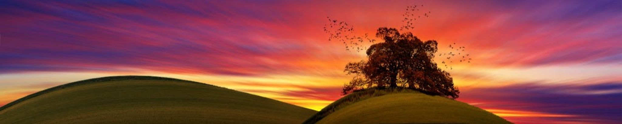 Cover photo for Karen Oleson's Obituary