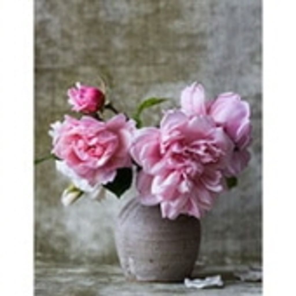 Lucille Pearl Ruthe