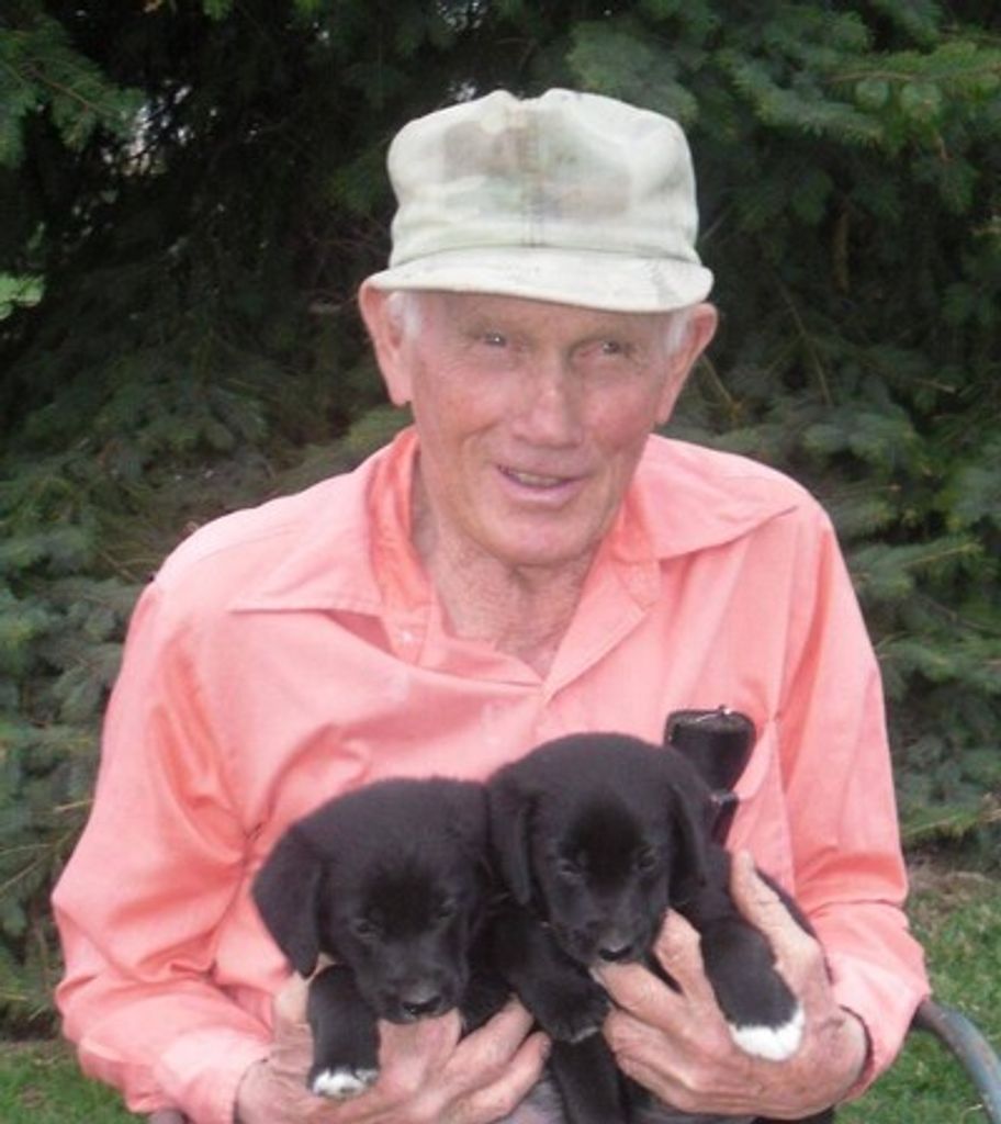 Don Wortmann Profile Photo